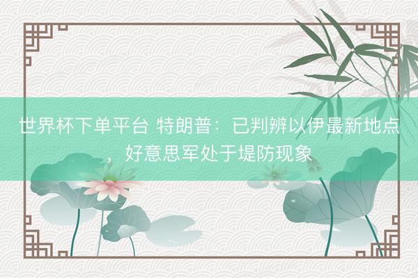 世界杯下單平臺 特朗普:已判辨以伊最新地點,好意思軍處于堤防現象
